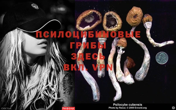 марихуана Верея