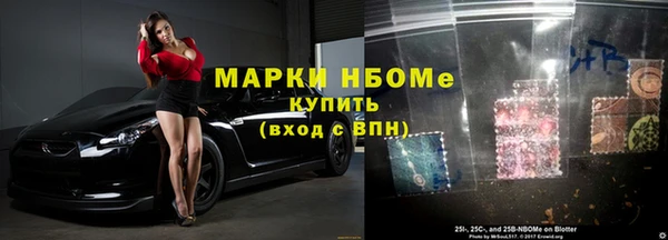 дмт Бородино