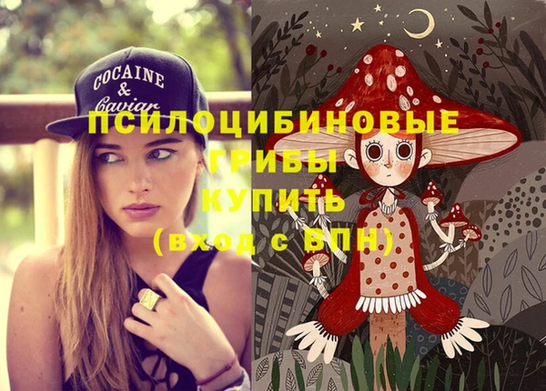 гидра Верхнеуральск