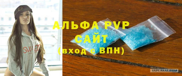 дмт Бородино